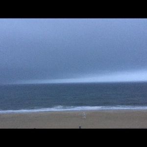 Meet your Posher, Jules